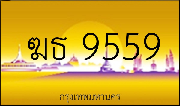 ฆธ 9559